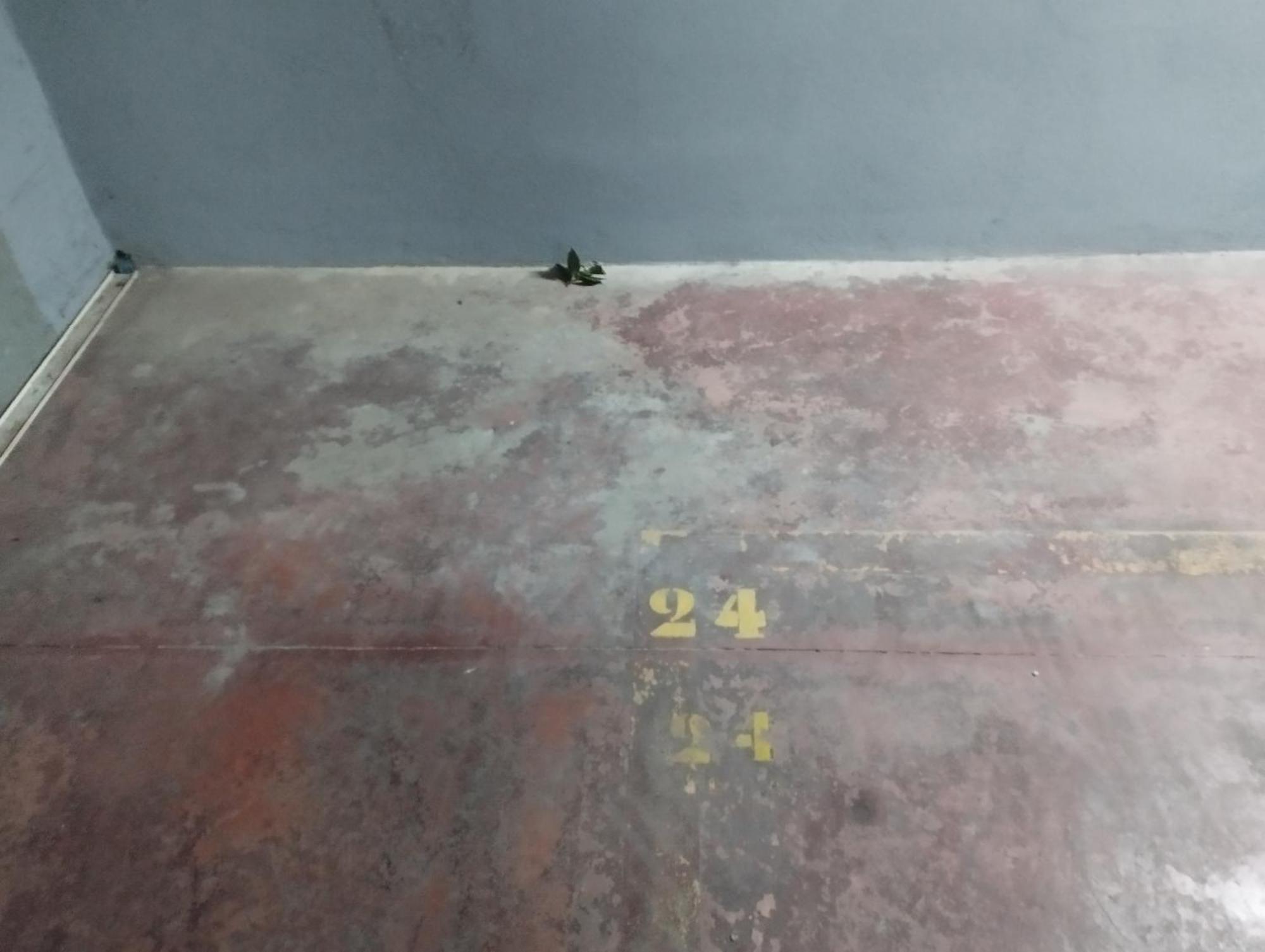 Barcelo 30, Terrace, Center, Garage On Request, Quite Neighborhood, Ba Apartment Malaga Exterior photo